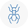 Ant Removals In Penwortham