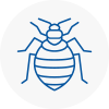 Bed Bug Extermination In Penwortham