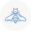 Bee Nest Removal Penwortham