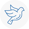 Bird Prevention Penwortham
