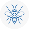 Penwortham Hornet Nest Removals
