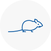 Mice Exterminators In Penwortham