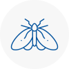 Moth Control Specialists In Penwortham
