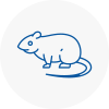 Rat Control Penwortham