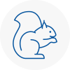 Penwortham Rodent Removals